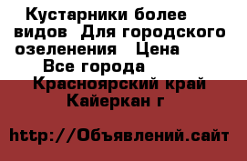 Кустарники более 100 видов. Для городского озеленения › Цена ­ 70 - Все города  »    . Красноярский край,Кайеркан г.